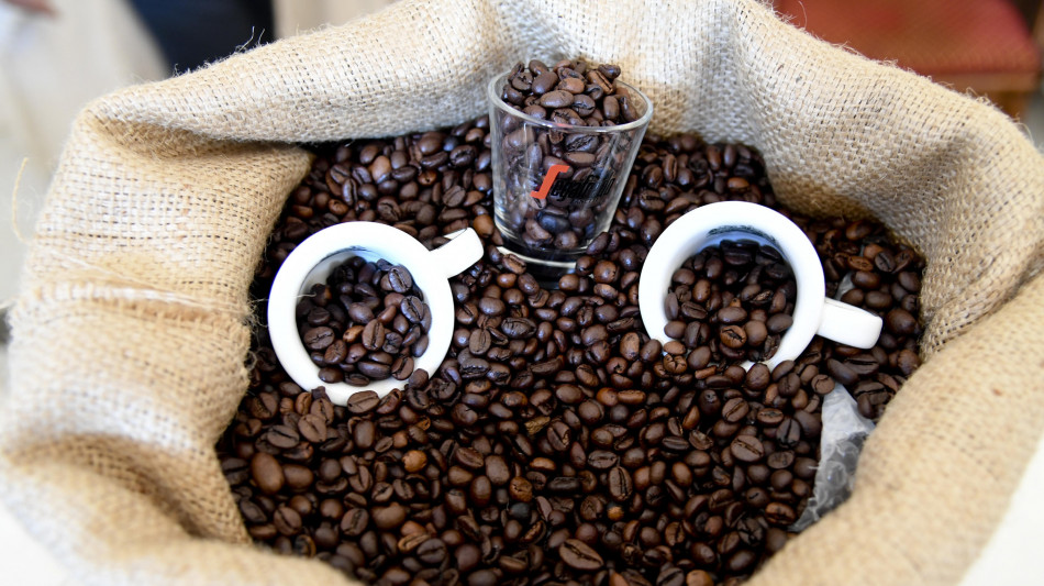 Cresce il fatturato di Lavazza, 3,35 miliardi nel 2024