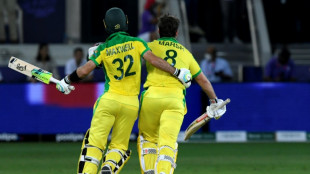 Australia's Maxwell, Marsh back from injury for India ODIs