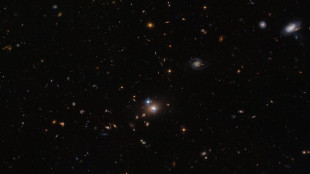 Einstein Telescope, un nuovo tassello per studiare il territorio