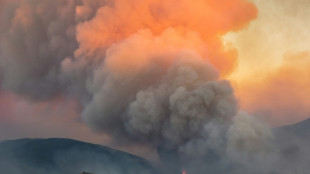 L'incendie des Pyr&eacute;n&eacute;es-Orientales ralentit mais provoque de gros d&eacute;g&acirc;ts