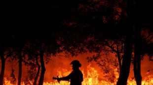 La Gironde de nouveau en proie aux flammes, 1.800 hectares br&ucirc;l&eacute;s