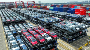 Chinas E-Auto-Hersteller BYD will sich f&uuml;r EU-Markt auf Kleinwagen konzentrieren