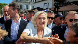Le Pen, l&iacute;der de la extrema derecha francesa, arranca campa&ntilde;a presidencial pese a su condena