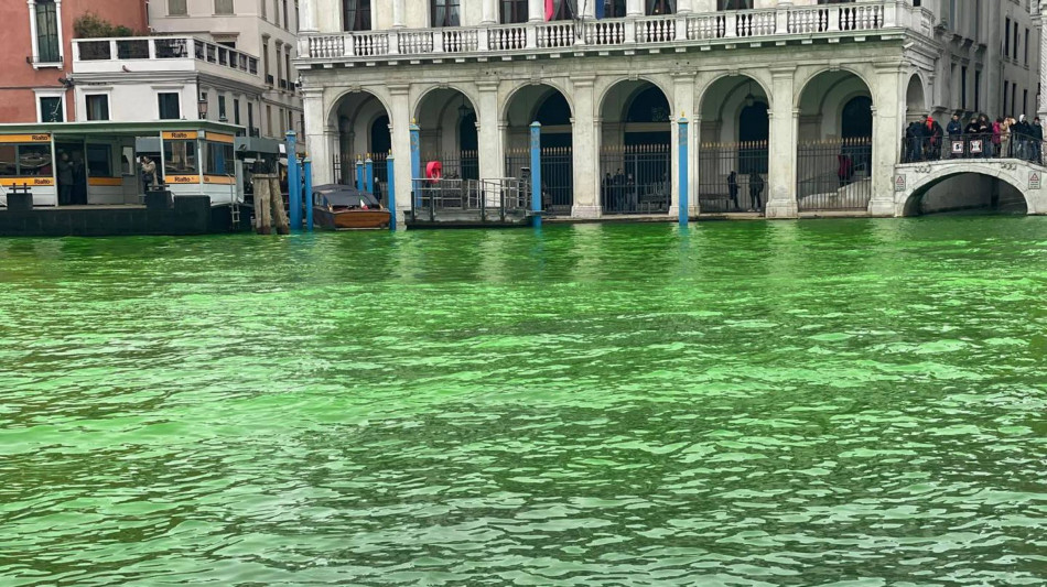 Il Canal Grande di Venezia si colora nuovamente di verde