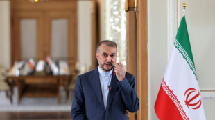 Las negociaciones en Viena sobre el programa nuclear iran&iacute; est&aacute;n en un momento "cr&iacute;tico", seg&uacute;n Teher&aacute;n