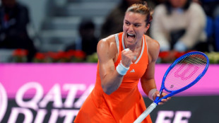 Swiatek, Rybakina dumped out of Qatar Open 
