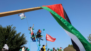 Delegados dem&oacute;cratas propalestinos saludan salida de Biden y miran con escepticismo a Harris