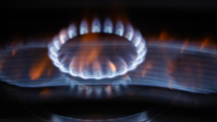 Il prezzo del gas chiude in lieve rialzo a 38,86 euro