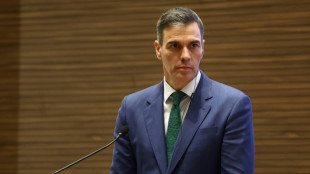 Tras su gira por Medio Oriente, S&aacute;nchez comparece en el Congreso espa&ntilde;ol para hablar de Gaza