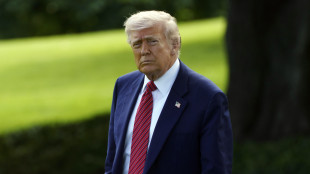 Wsj,Trump frustrato per lentezza Ue nei negoziati sui dazi