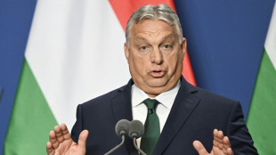 Empfang in Stuttgart: Ungarns Regierungschef Orban kommt zu Fu&szlig;ball-EM