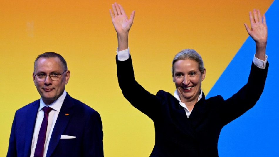 AfD-Parteitag best&auml;tigt Doppelspitze Weidel-Chrupalla klar im Amt