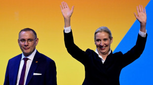 AfD-Parteitag best&auml;tigt Doppelspitze Weidel-Chrupalla klar im Amt