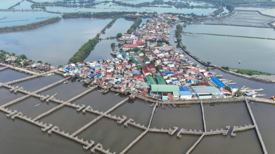 Une &icirc;le des Philippines lutte contre la mont&eacute;e des eaux gr&acirc;ce &agrave; la nature, pas au b&eacute;ton