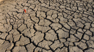 Innovazione sociale e clima i temi eco pi&ugrave; trattati dai media italiani