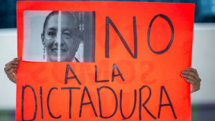 Mexique: l'autre crise qui couve mardi en Am&eacute;rique du Nord