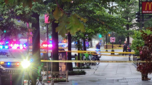 El Servicio Secreto de EEUU mata a un hombre que abri&oacute; fuego cerca de la Casa Blanca