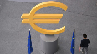 ECB set to hold rates steady with eye on France crisis
