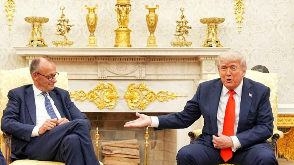 Merz lädt vor Putin-Trump-Gipfel zu virtuellen Treffen mit Trump und Selenskyj ein