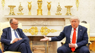 Merz lädt vor Putin-Trump-Gipfel zu virtuellen Treffen mit Trump und Selenskyj ein