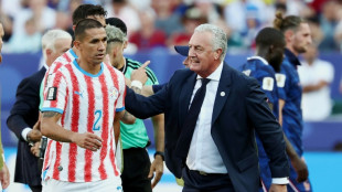 Paraguay coach says team 'fought like lions' in World Cup loss to France