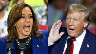 Harris? Trump? A J-2, l'issue du duel toujours aussi impr&eacute;visible