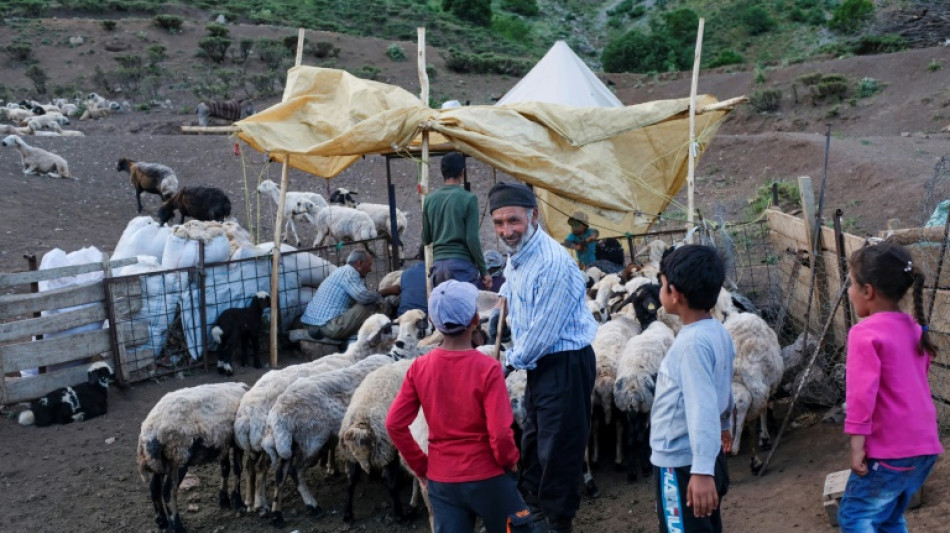 Dans l'est de la Turquie, la vall&eacute;e des bergers afghans