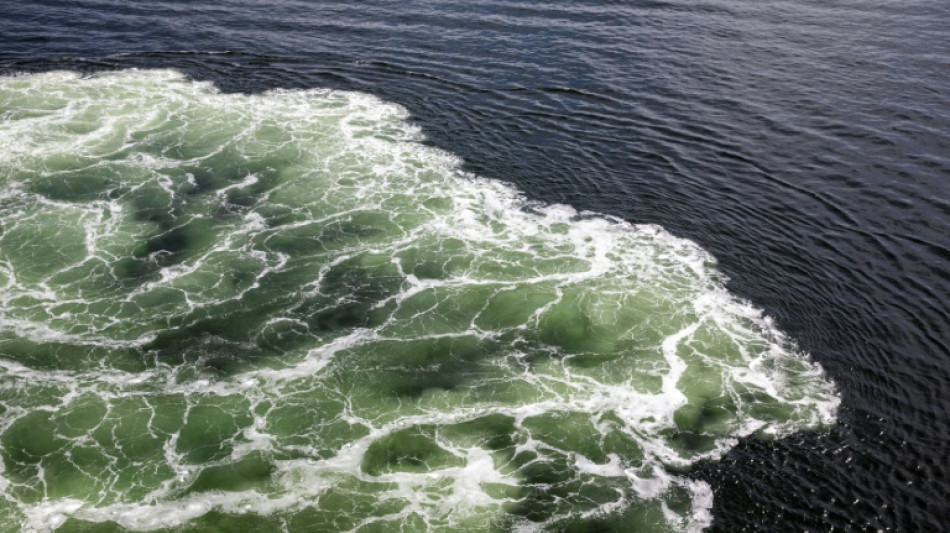 EU beschlie&szlig;t 15. Sanktionspaket gegen Russland