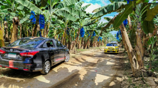 La bananera Chiquita regresa a Panamá y recontratará a miles de trabajadores despedidos