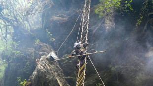 El incierto futuro de los recolectores de "miel loca" del Himalaya a causa del cambio clim&aacute;tico