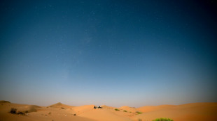 Oil-rich UAE turns to AI to grease economy