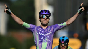 Swiss rider Schmid cramps up but wins Tour de France stage 13