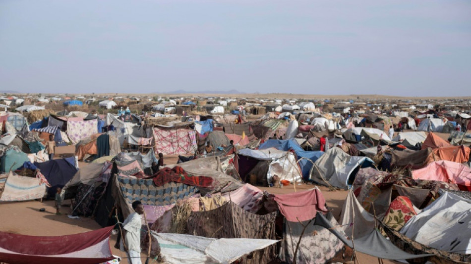 Novas imagens de sat&eacute;lite sugerem 'valas comuns' na cidade sudanesa de El Fasher