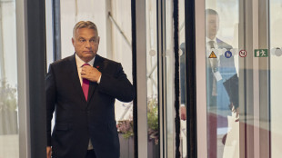 Orban, 'oggi parler&ograve; con Putin del vertice con Trump'