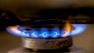 Il prezzo del gas apre oltre i 50 euro al megawattora