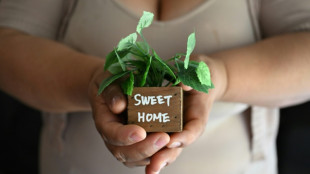 Como pagar o aluguel, crise provocada pelas operações contra imigrantes de Trump