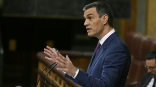 Pedro S&aacute;nchez &eacute; reeleito presidente do governo pelo Parlamento espanhol