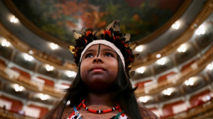 Pa&iacute;ses amaz&ocirc;nicos concordam em lan&ccedil;ar alian&ccedil;a para combater desmatamento