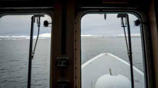 Danimarca, Usa invitati alle esercitazioni in Groenlandia