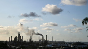 Venezuela avanza en la apertura petrolera exigida por EEUU, que nombra jefa de su misi&oacute;n diplom&aacute;tica