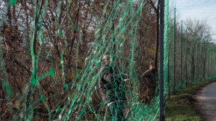 Media, 'Kiev è pronta ad accettare una zona demilitarizzata nel Donbass'