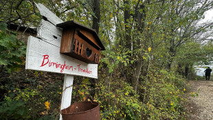 Famiglia nel bosco, 'non abbiamo rifiutato aiuti
