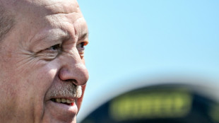 Erdogan busca aprovechar la cumbre de la OTAN para reforzar la influencia de Turqu&iacute;a