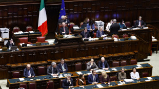 Via libera alla risoluzione di maggioranza, sostegno per la difesa dell'Ucraina
