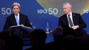 La financiaci&oacute;n de la transici&oacute;n energ&eacute;tica protagoniza reuni&oacute;n ministerial de la AIE