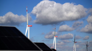 Expertenrat sagt Verfehlen von Klimazielen voraus - Kritik an Bundesregierung