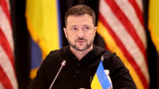 Zelenski llega al foro econ&oacute;mico en Italia tras reclamar "m&aacute;s armas" a sus aliados en Alemania