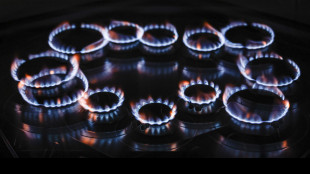 Il gas chiude in calo a 41,65 euro sulla piazza Ttf di Amsterdam