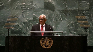 Hait&iacute; pide en la ONU "reflexi&oacute;n" para crear misi&oacute;n de mantenimiento de la paz