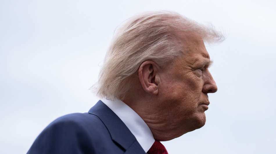 Trump, 'dragamine a Hormuz? L'Italia non c'era quando ne avevamo bisogno'